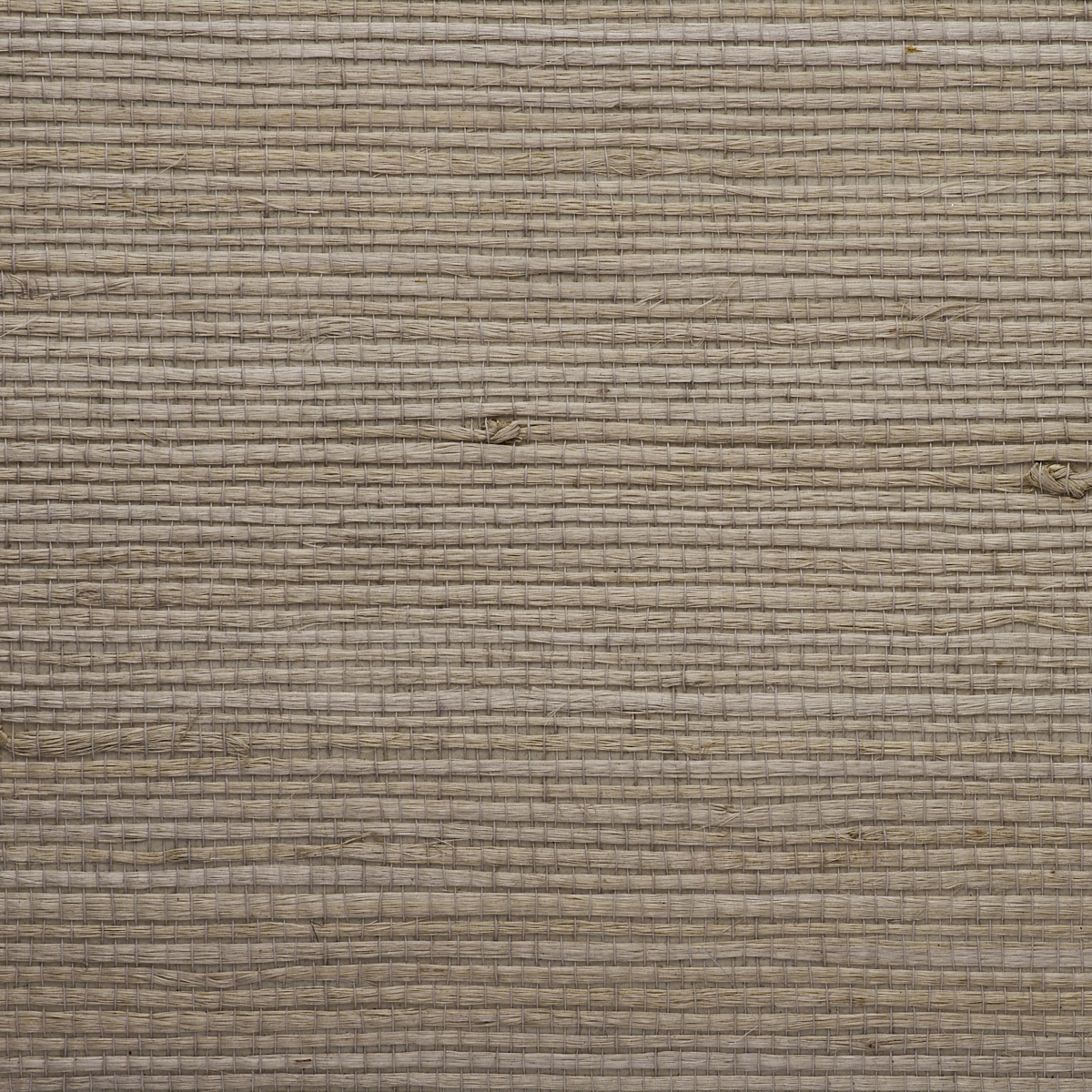 JUICY-JUTE-WANDERING-PATH-PHILLIP-JEFFRIES-9248 - Phillip Jeffries Wallpaper Papel pintado