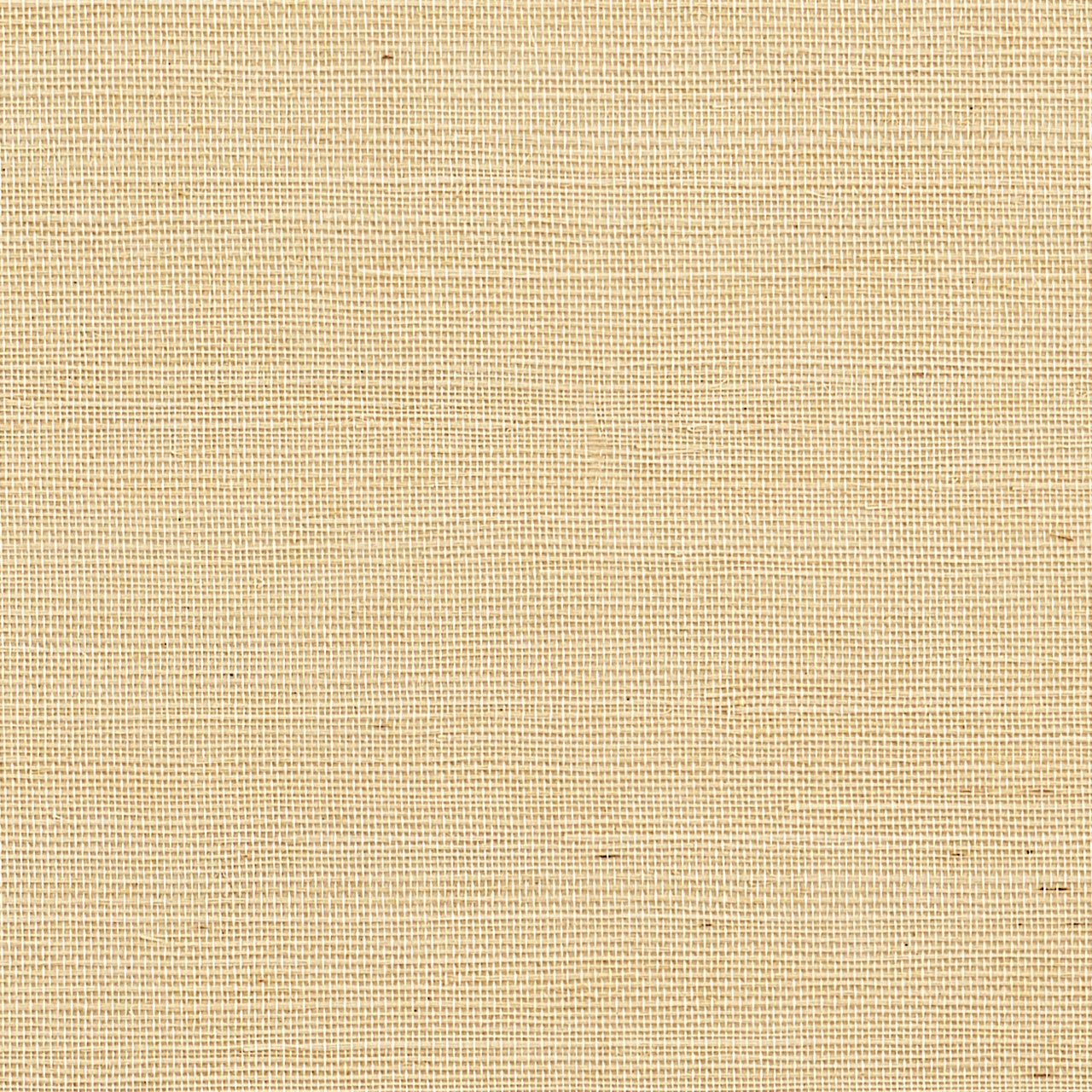 MANILA-HEMP-VANILLA-PHILLIP-JEFFRIES-3432