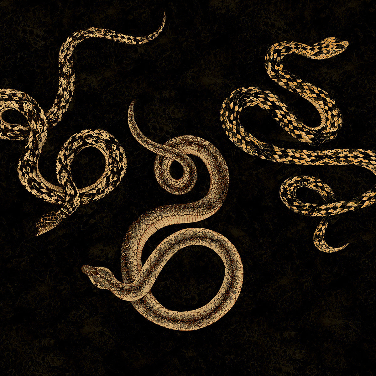 SERPENT-NOCTURNAL-ON-VINYL-METALWORKS-PHILLIP-JEFFRIES-10605 - Phillip Jeffries Wallpaper Wallcovering