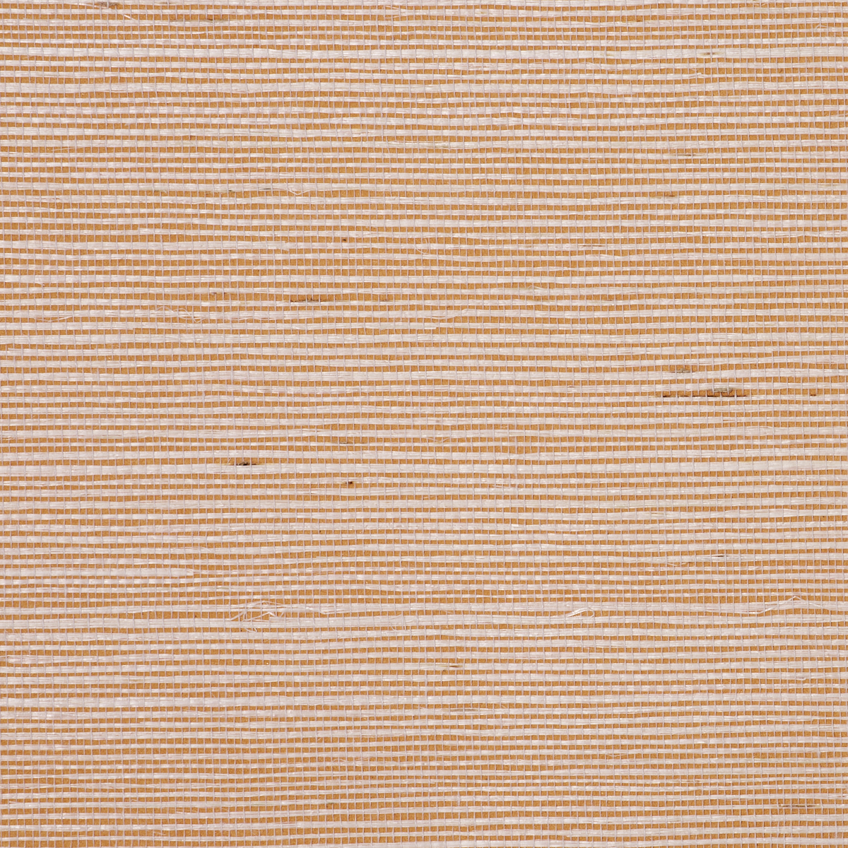 BERMUDA-HEMP-CLEMENTINE-PHILLIP-JEFFRIES-5522 - Phillip Jeffries Wallpaper Wallpaper