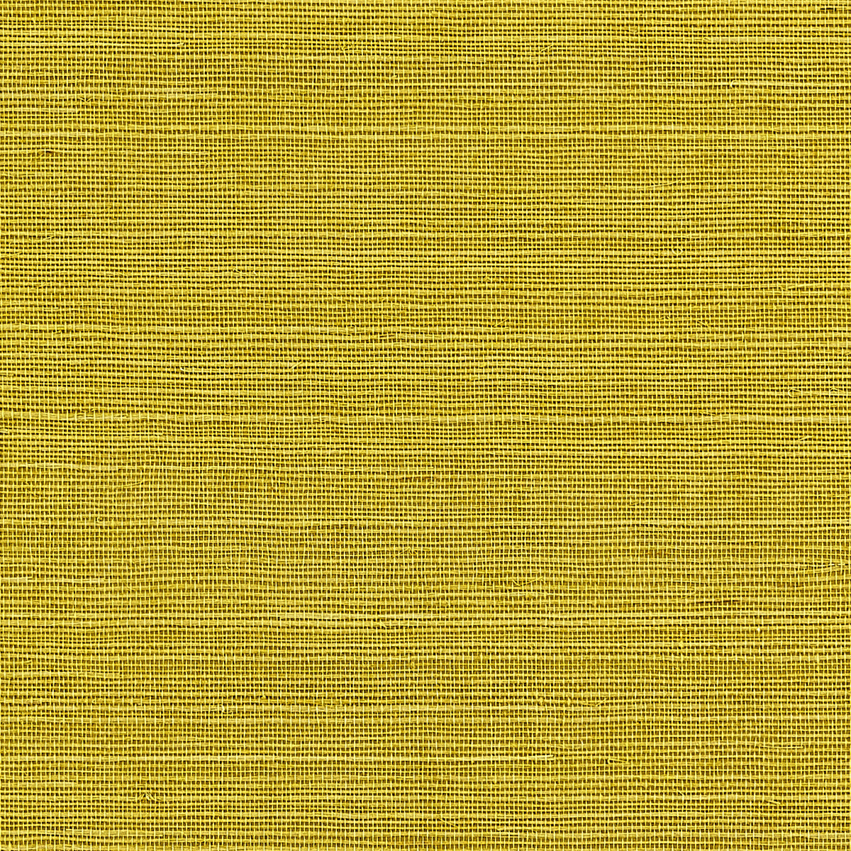 MANILA-HEMP-QUINCE-PHILLIP-JEFFRIES-5272
