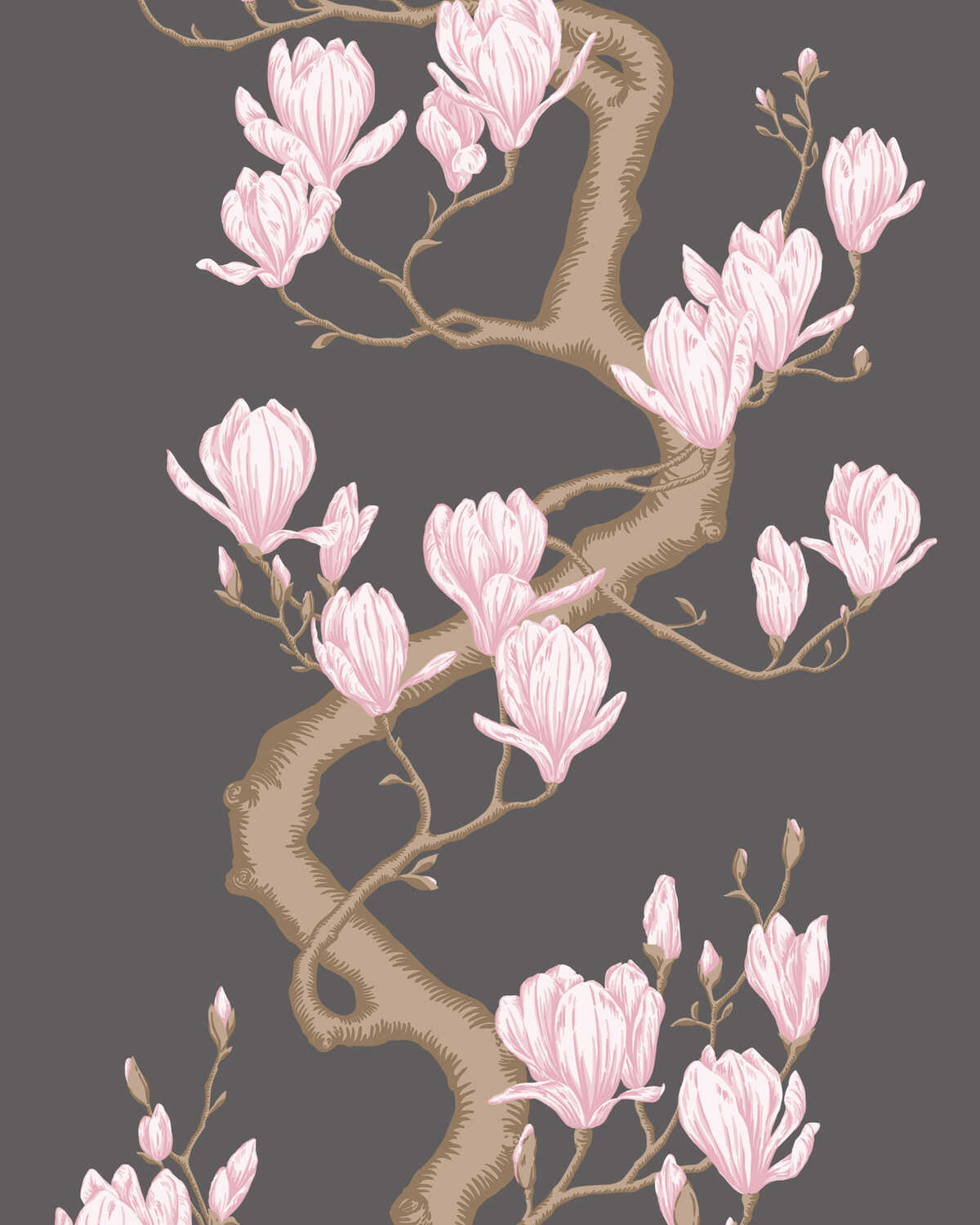 Magnolia Tree - Charcoal/Pink - COLE & SON Wallpaper