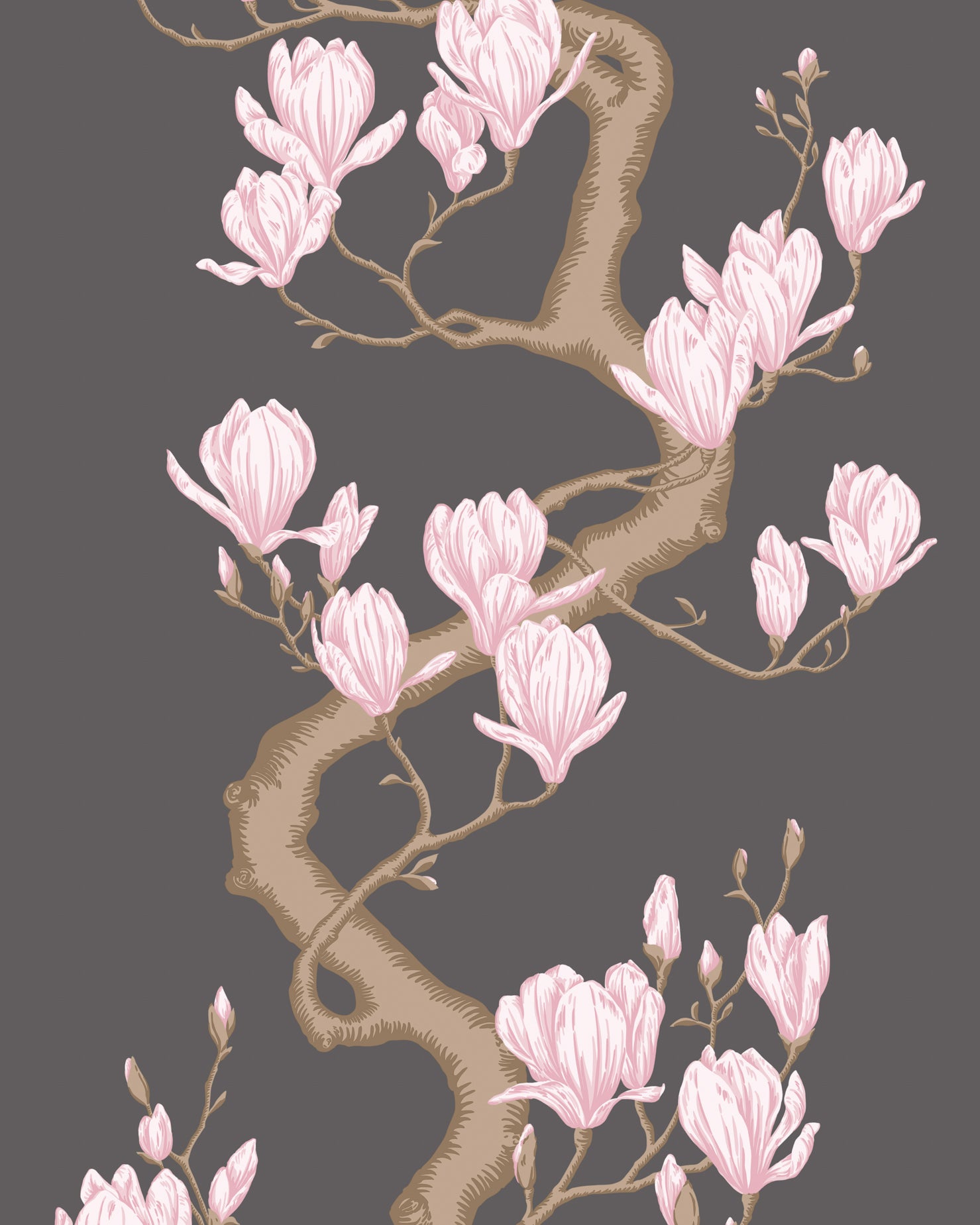 Magnolia Tree - Charcoal/Pink - Cole & Son Wallpaper