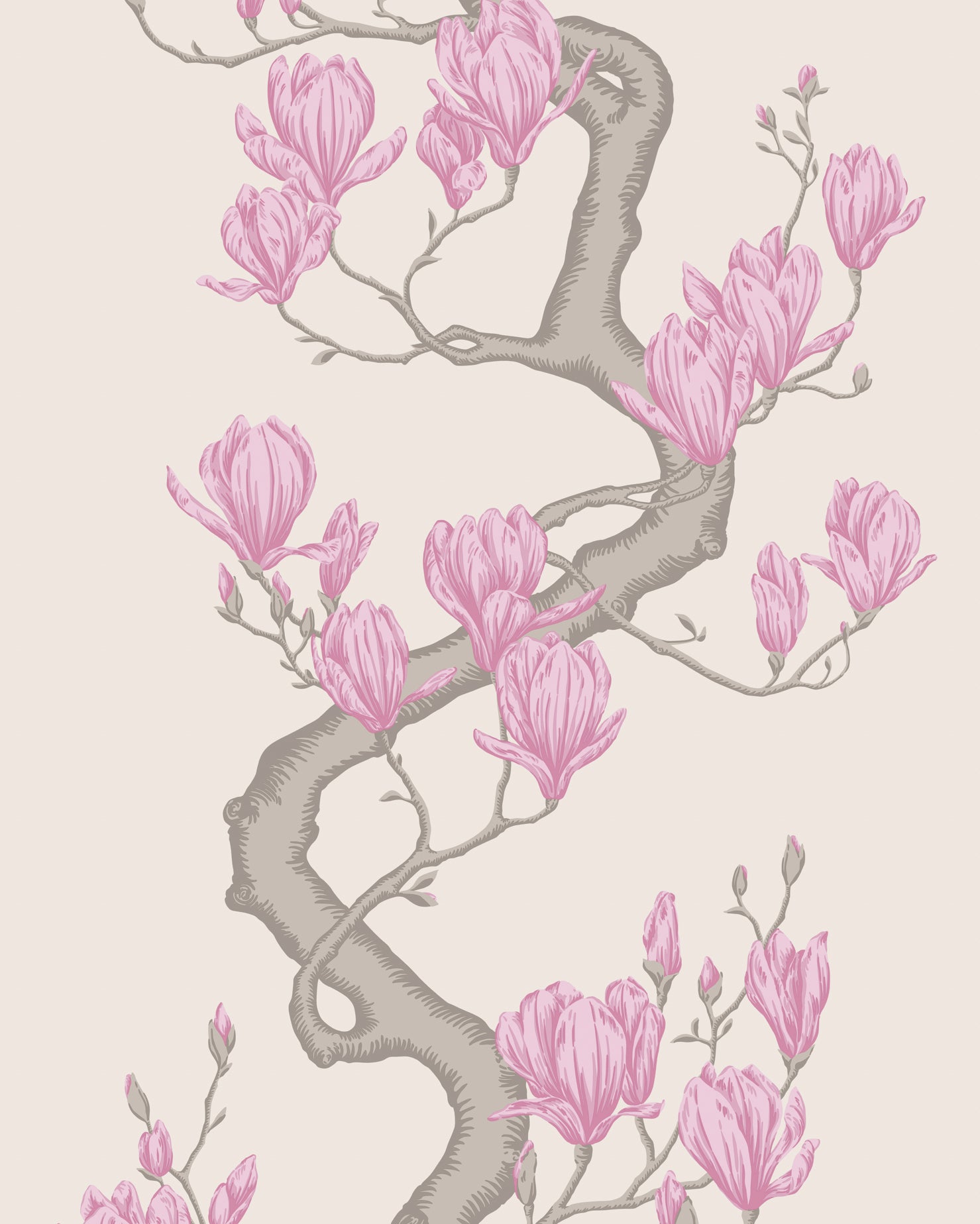 Magnolia Tree - Parchment - Cole & Son Wallpaper