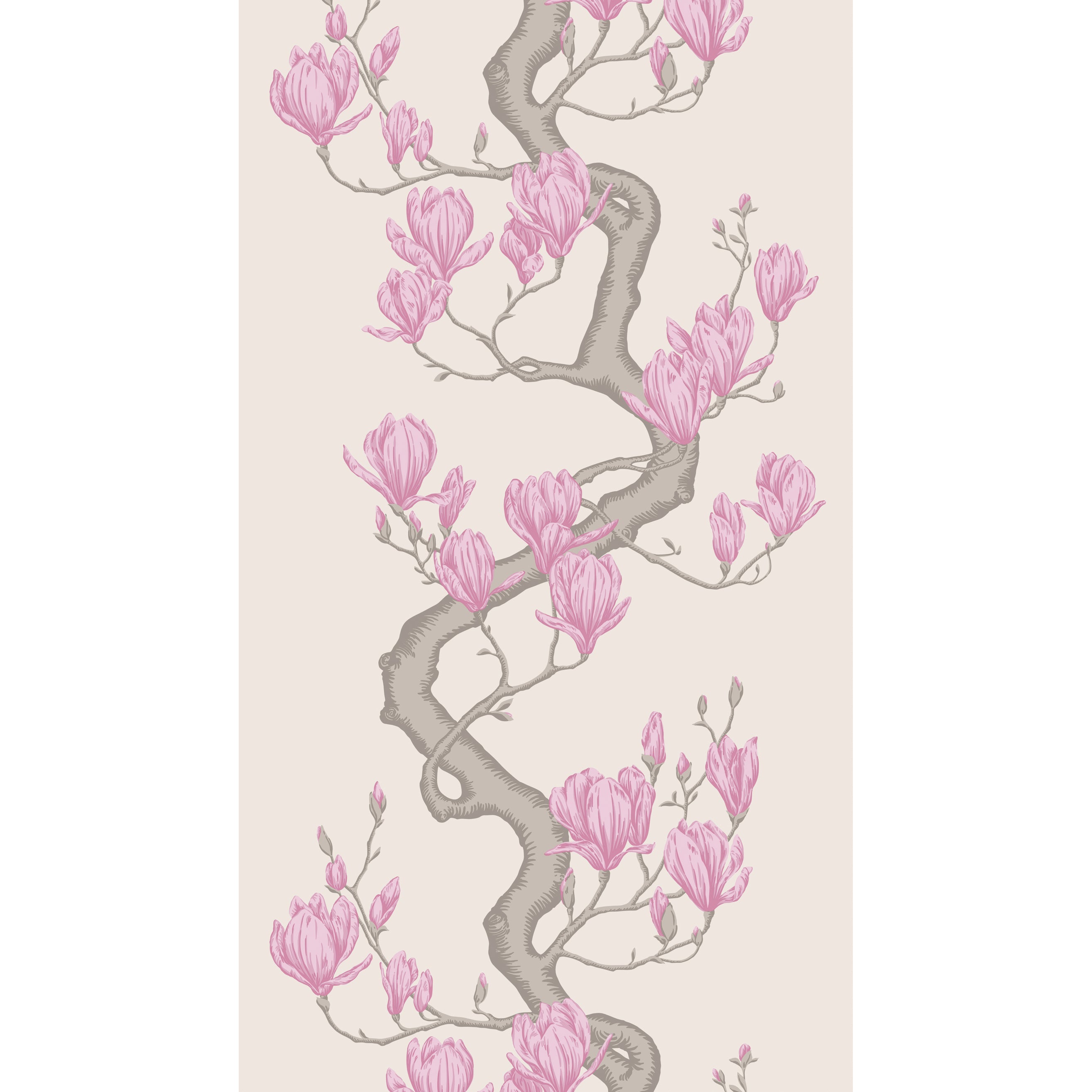 Magnolia Tree - Parchment - Cole & Son Wallpaper