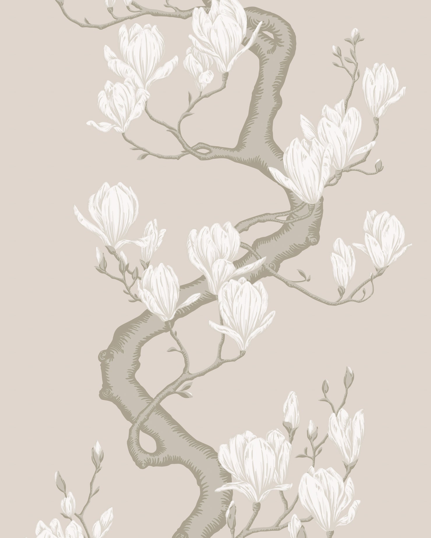 Magnolia Tree - Soft Cream - Cole & Son Wallpaper