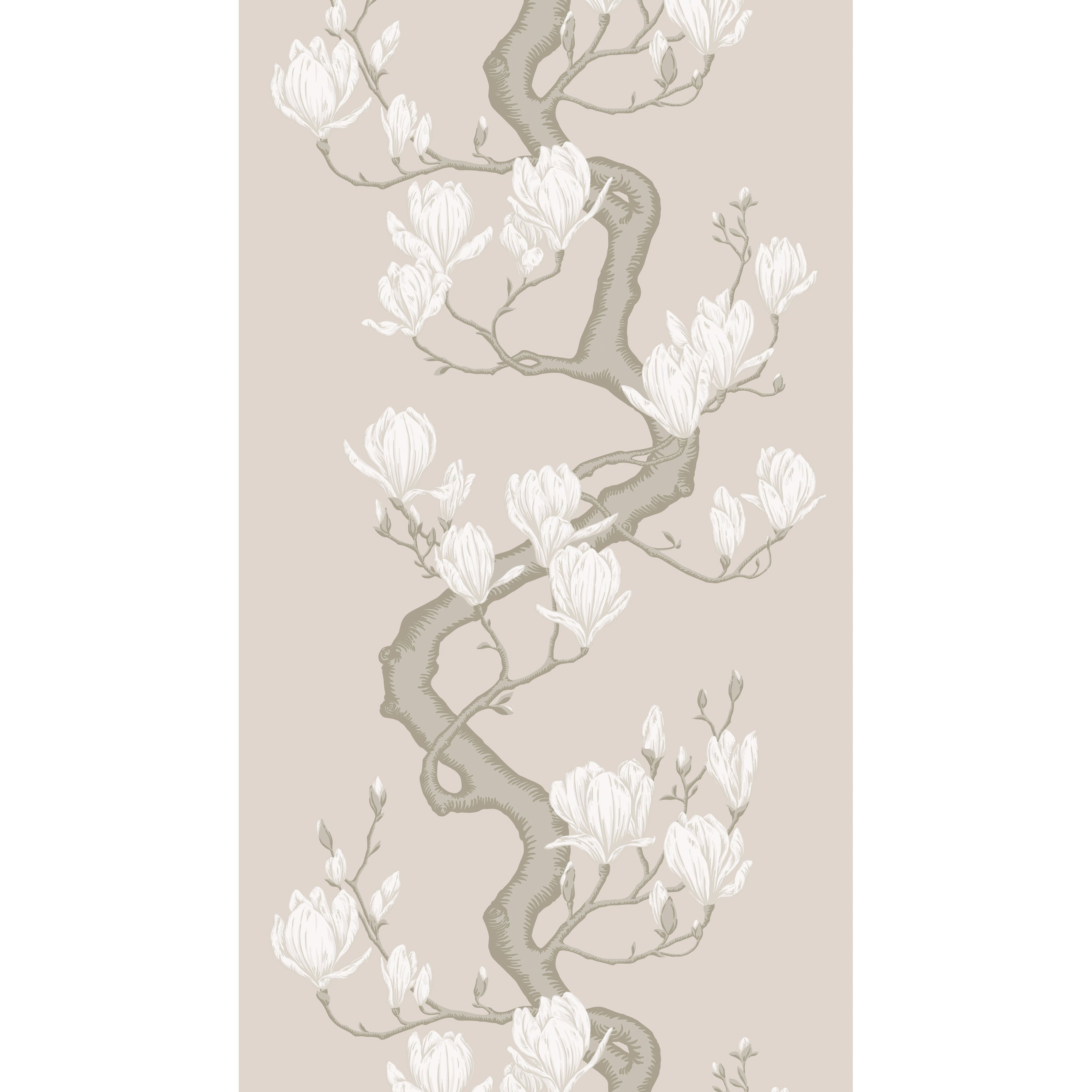 Magnolia Tree - Soft Cream - Cole & Son Wallpaper