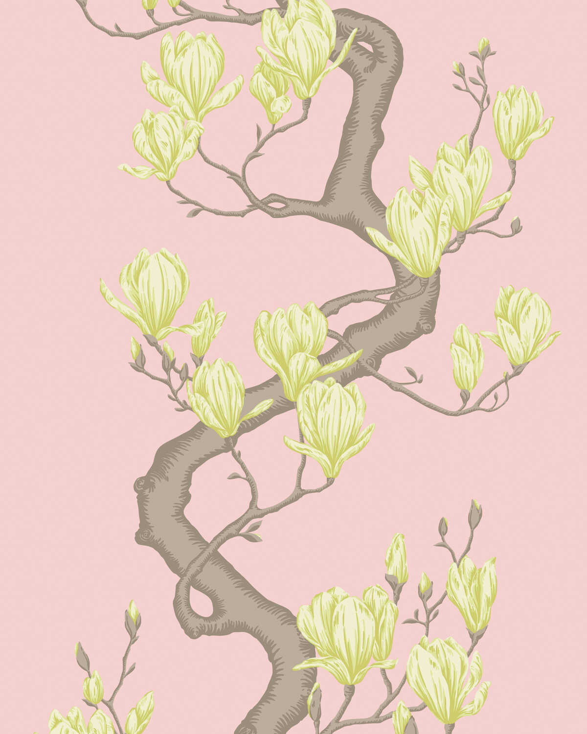 Magnolia Tree - Rose Pink - COLE & SON Wallpaper
