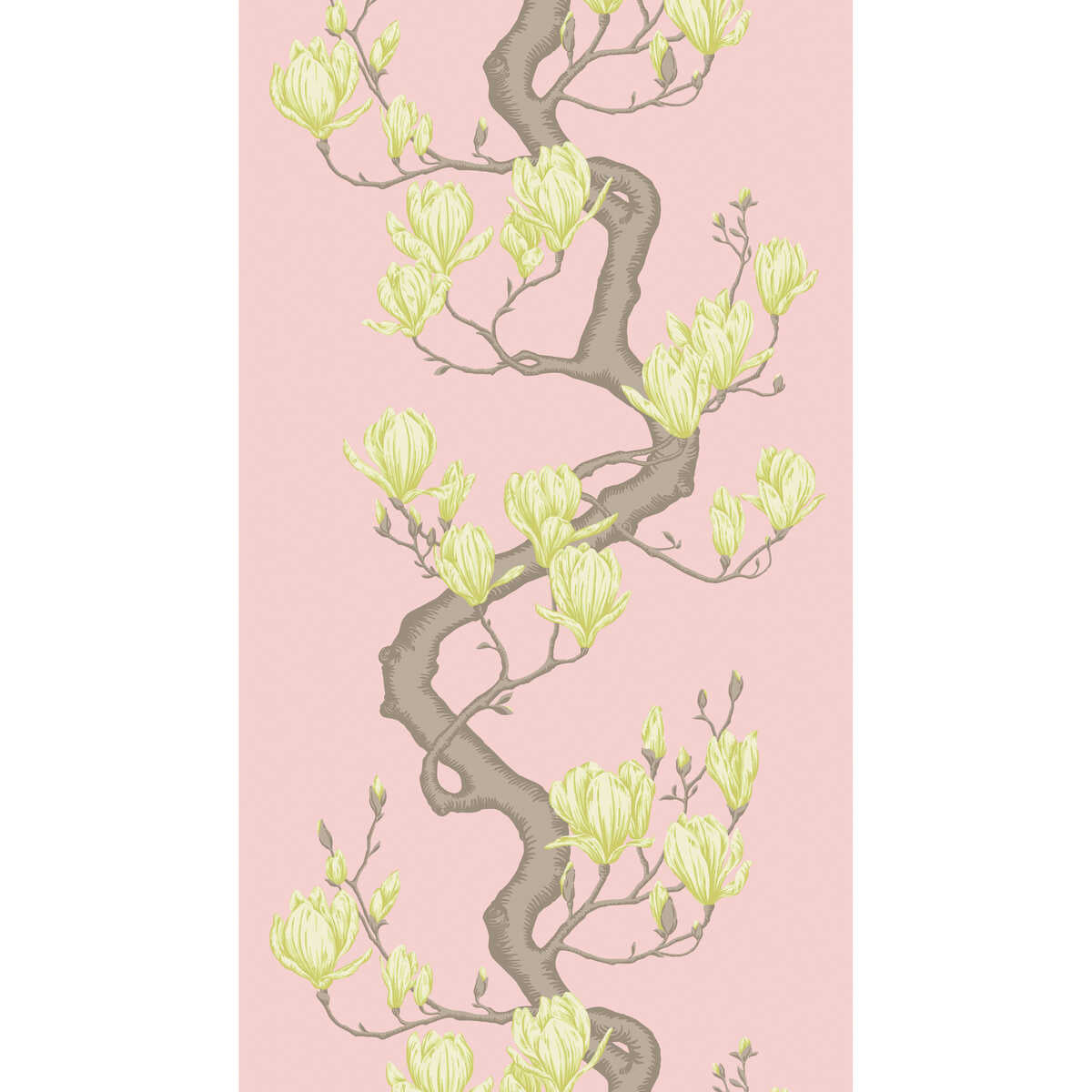 Magnolia Tree - Rose Pink - COLE & SON Wallpaper