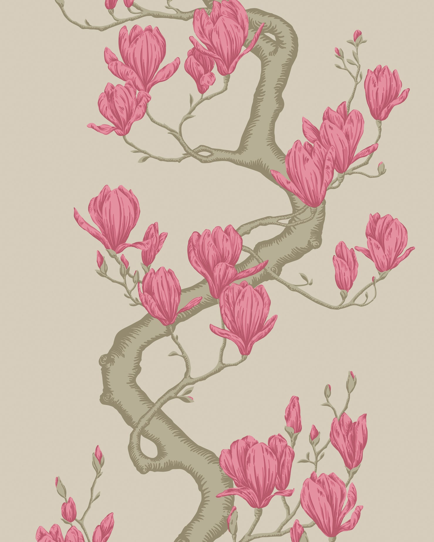 Magnolia Tree - Magenta - Cole & Son Wallpaper