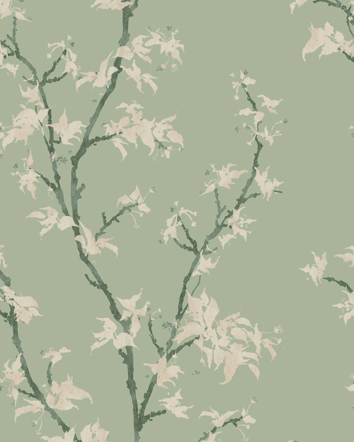 Chinese Branch - Sage - COLE & SON Wallpaper