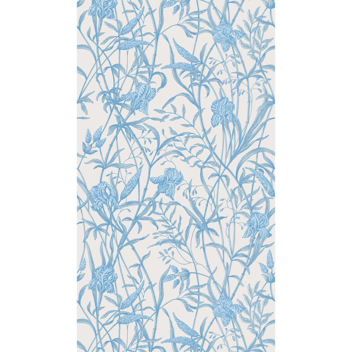 Iris - Soft Cerulean - COLE & SON Wallpaper