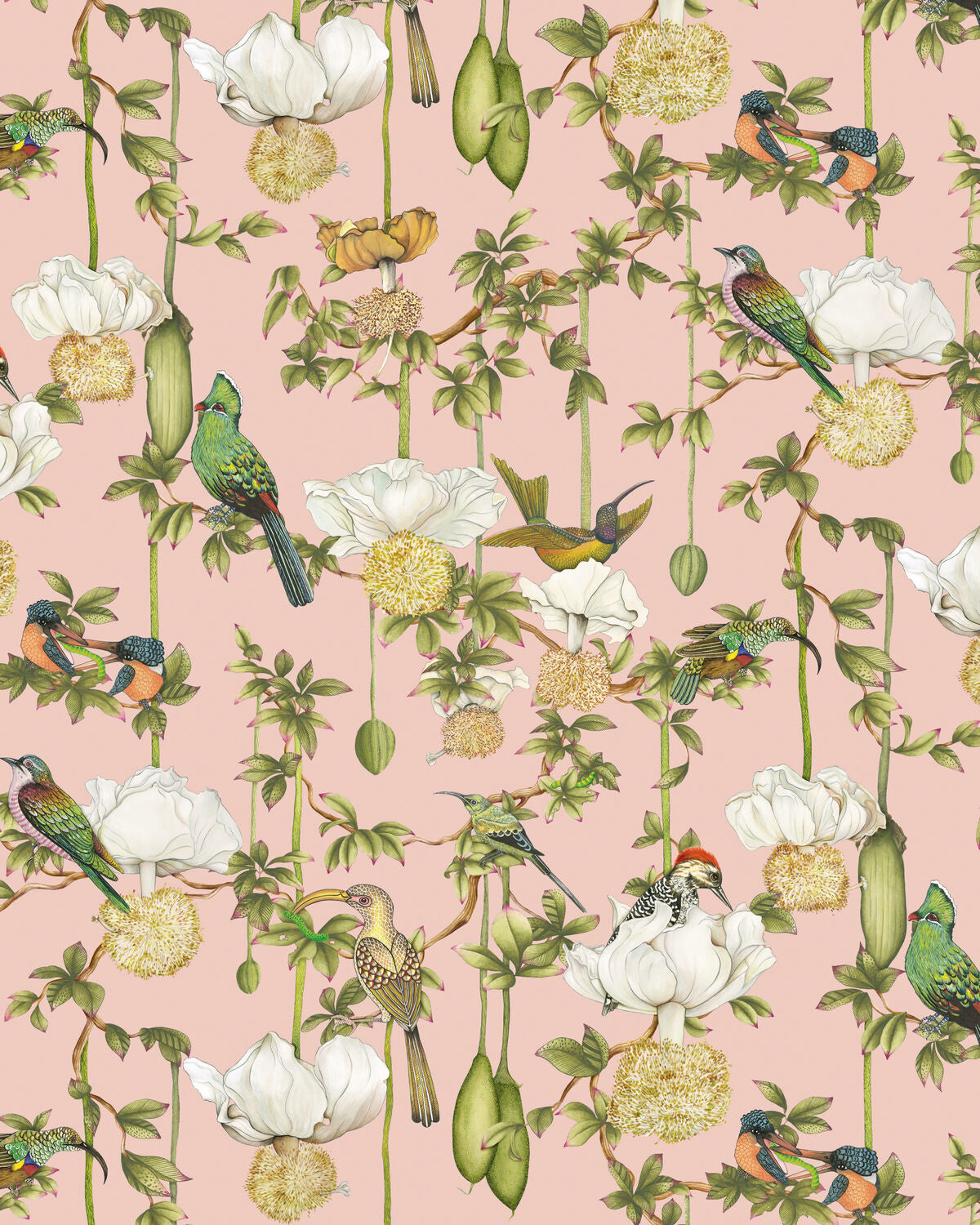 Baobab Botanica - Blush - Cole & Son Wallpaper