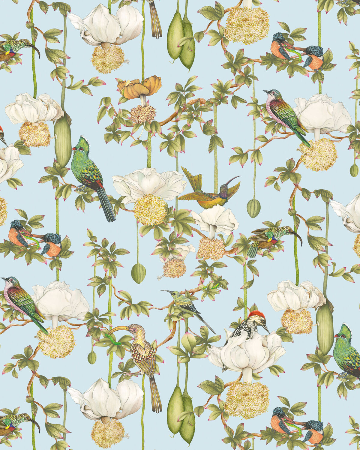 Baobab Botanica - Sky Blue - Cole & Son Wallpaper