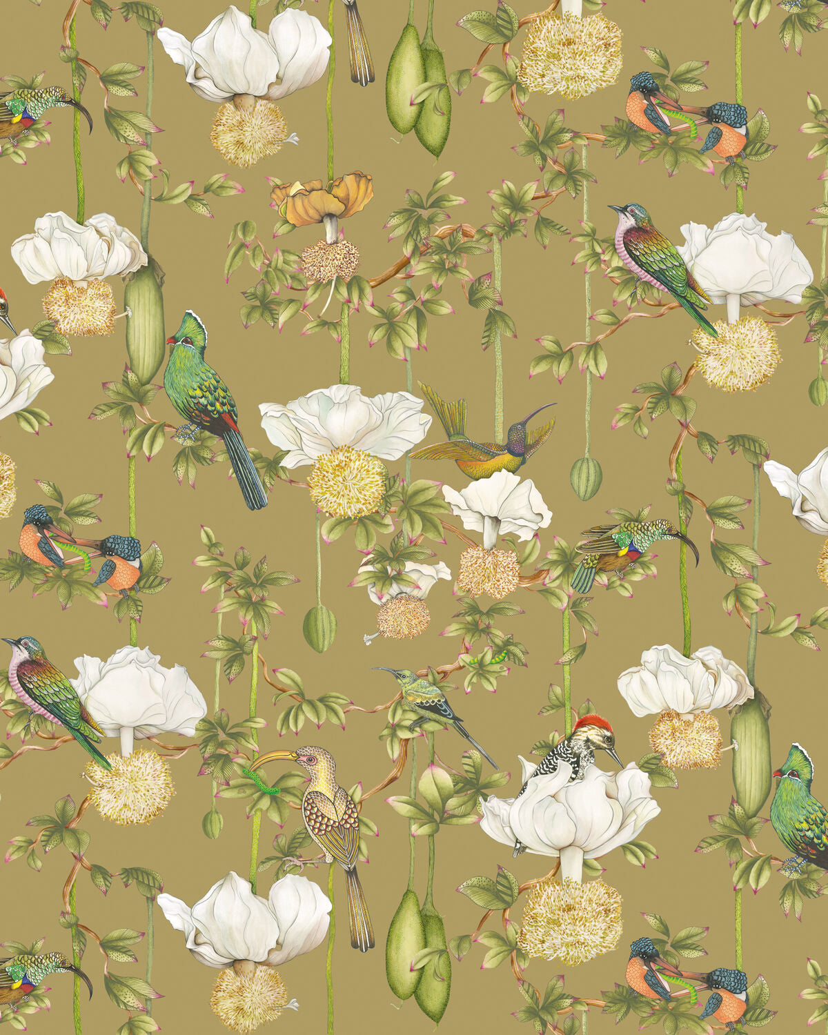 Baobab Botanica - Safari - Cole & Son Wallpaper