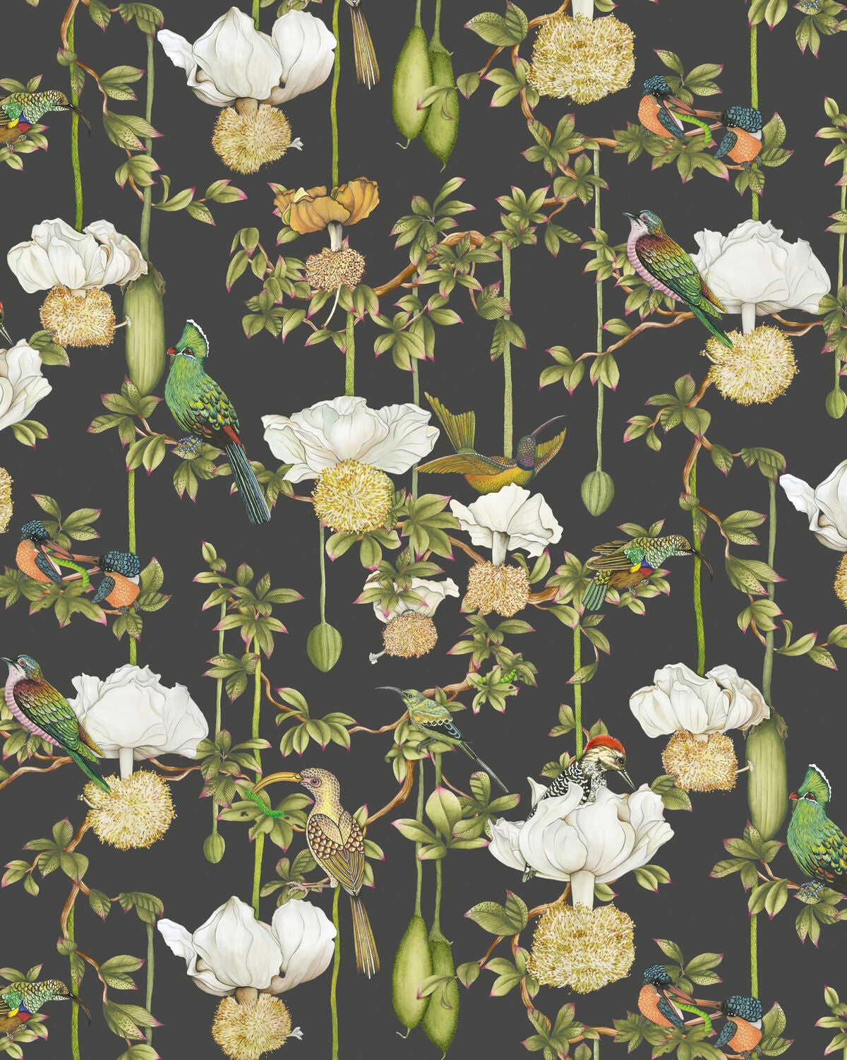 Baobab Botanica - Onyx - Cole & Son Wallpaper