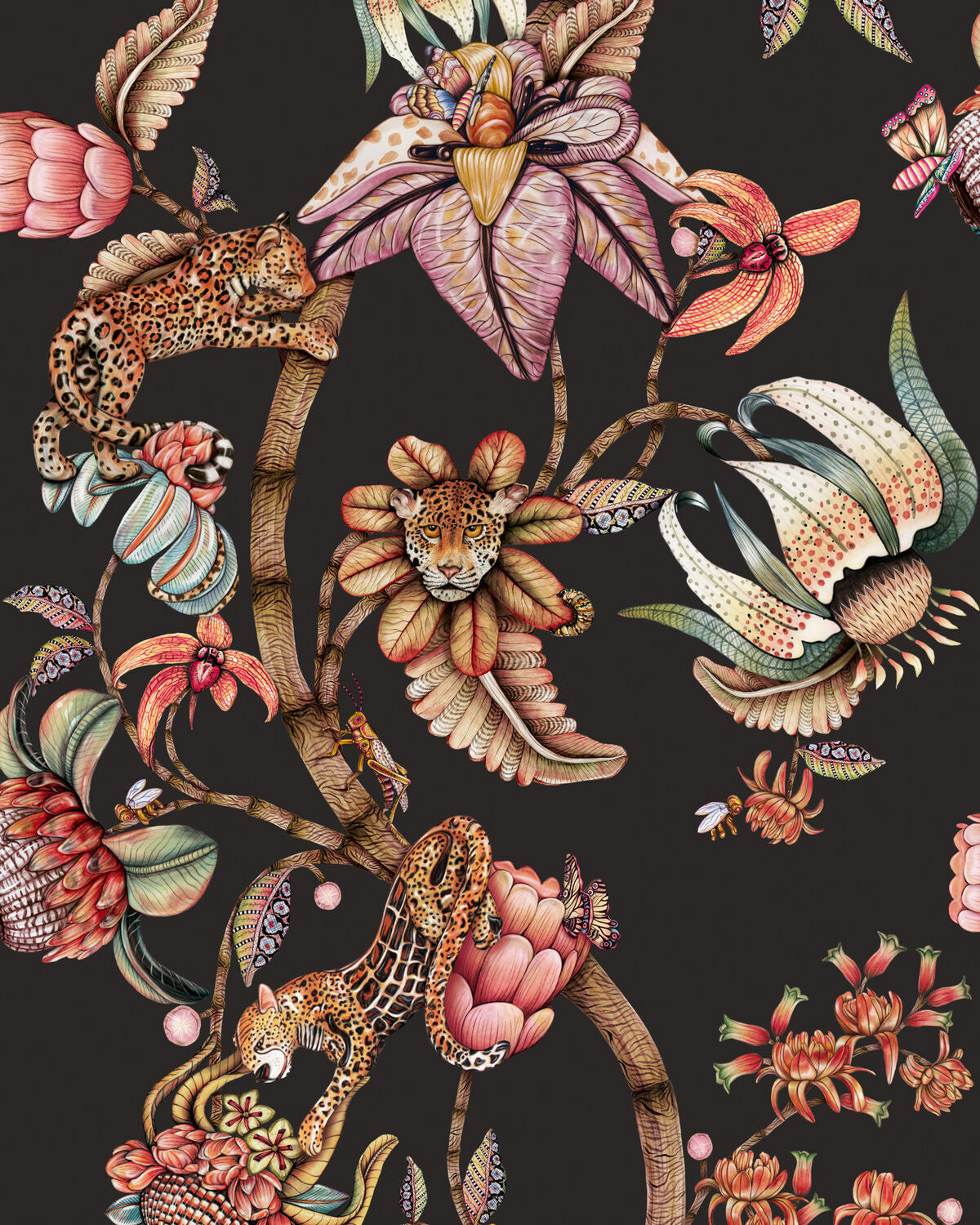 Protea Panthera - Onyx - Cole & Son Wallpaper