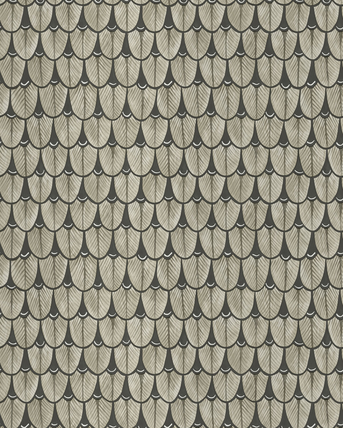Narina - Platinum - Cole & Son Wallpaper