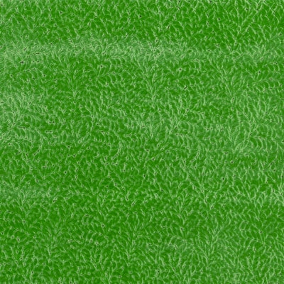 cartouche-designers-guild-fdg3087-05