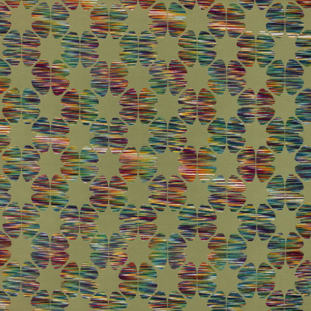 Daisy Daze – Spring