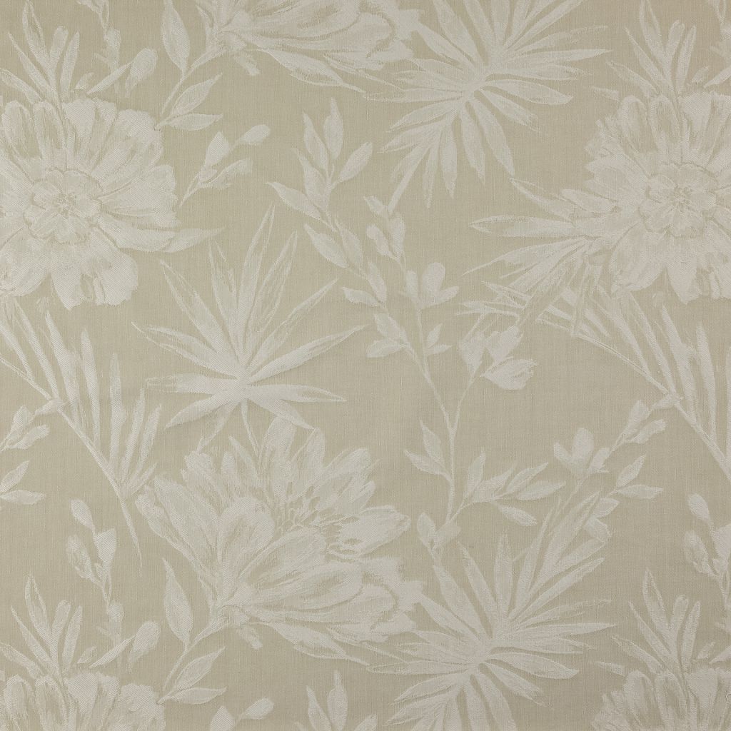 Palmara – Fawn