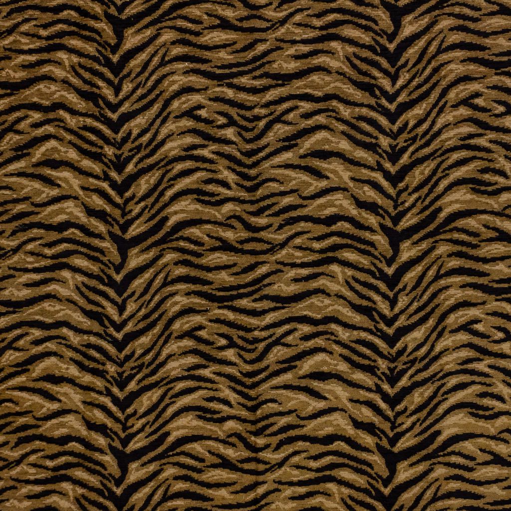 Big Cat – Roar