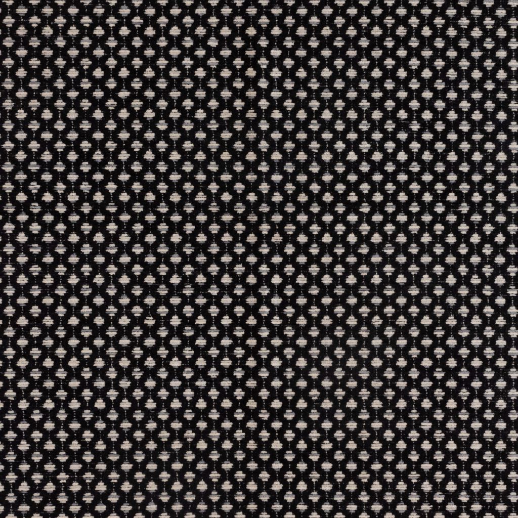 Dream Catcher – Raven