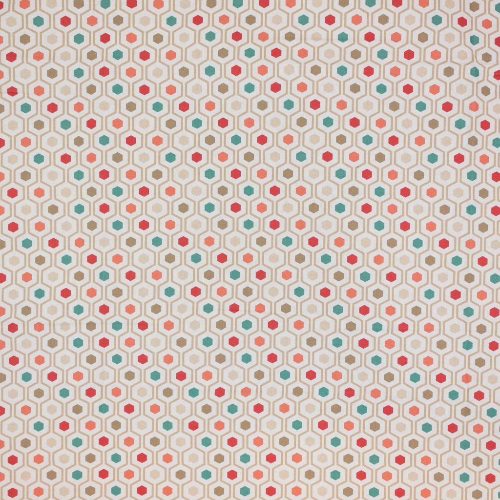 Bee's Knees – Canyon