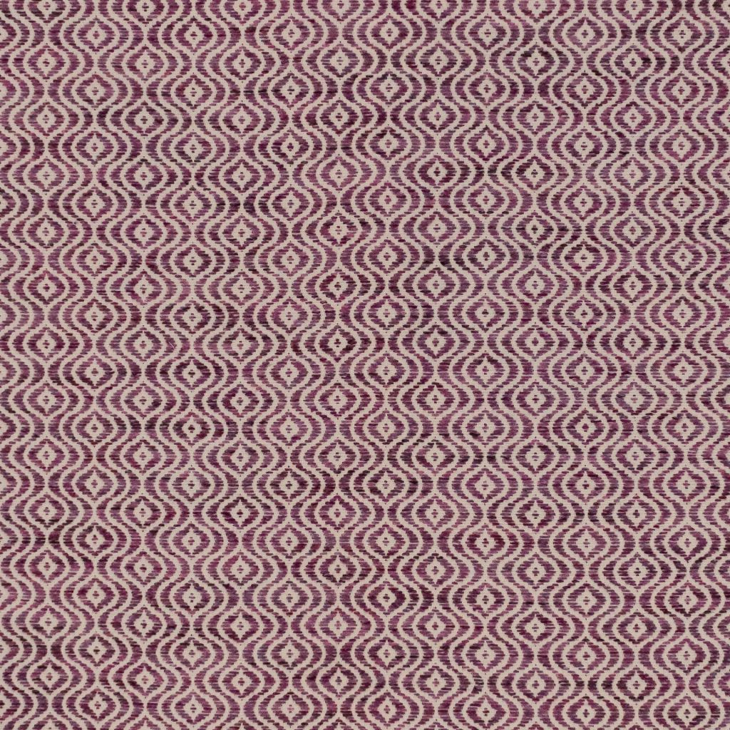 Kittani – Plum