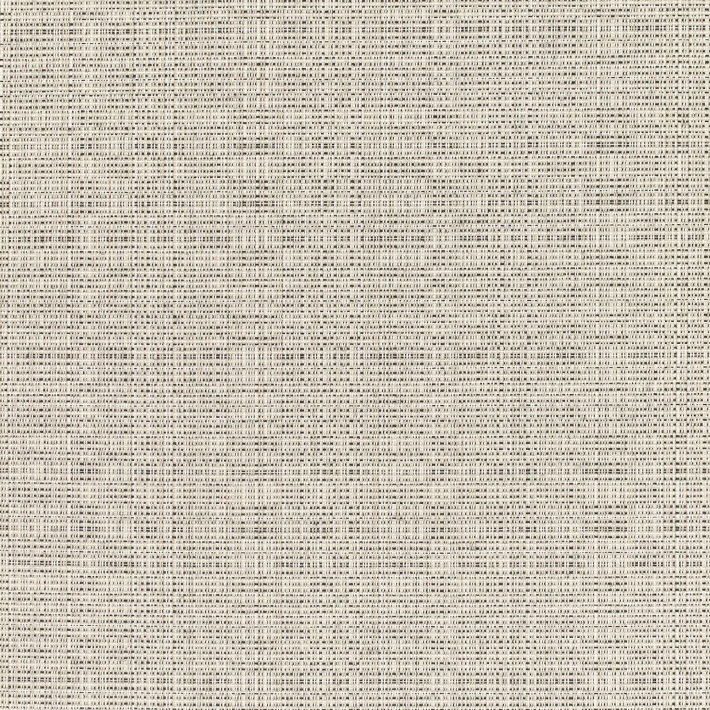 Linen - SunbrellaÂ® â Silver 8351-0000 - RM Coco Fabric