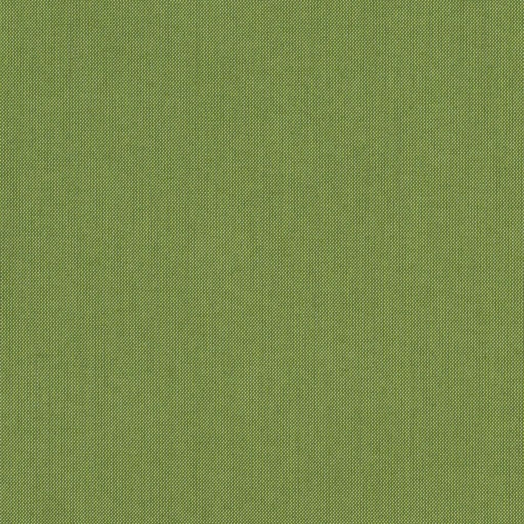 Spectrum - SunbrellaÂ® â Cilantro 48022-0000 - RM Coco Fabric