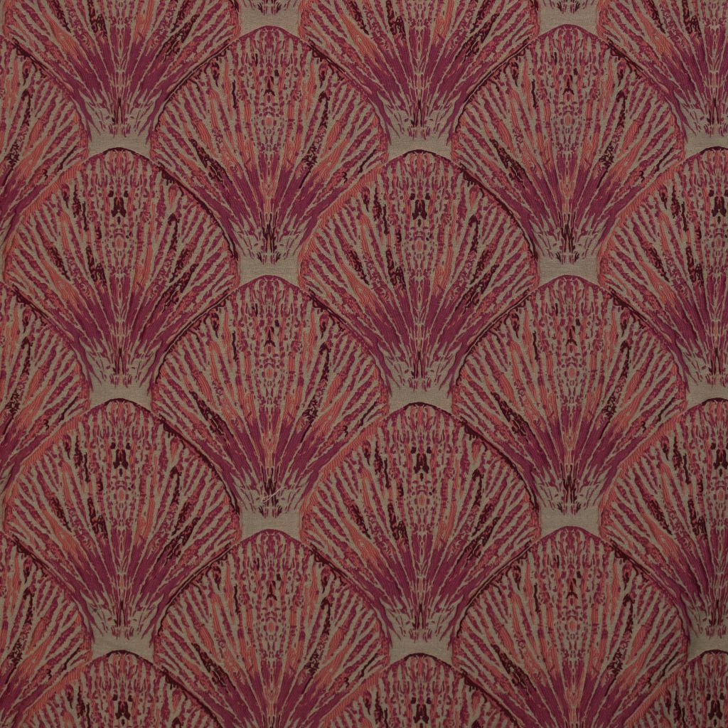 Coquille â Coral