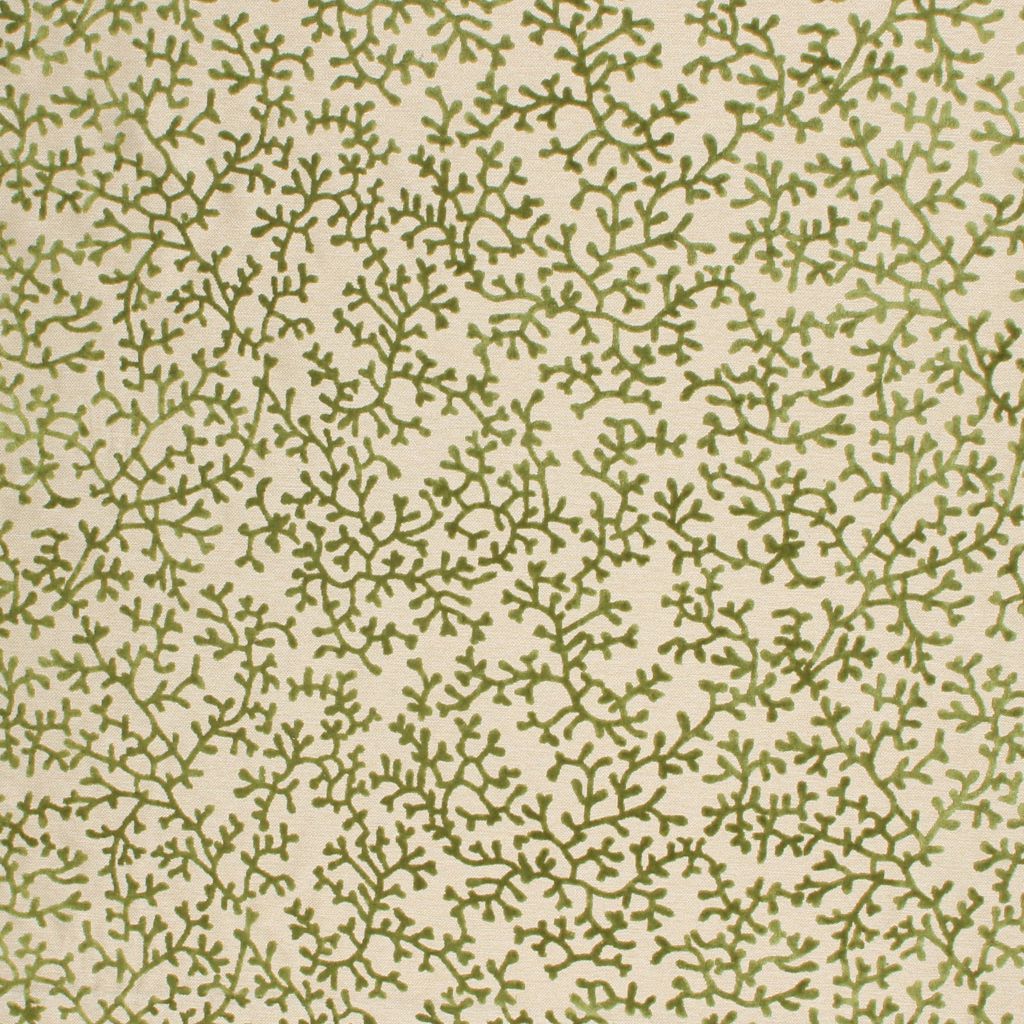 Coral Splendor – Green