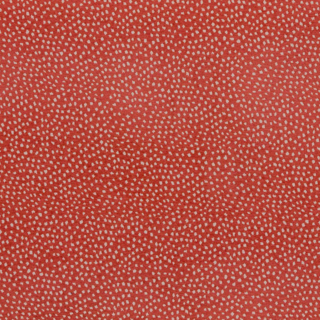 Flurry â Coral