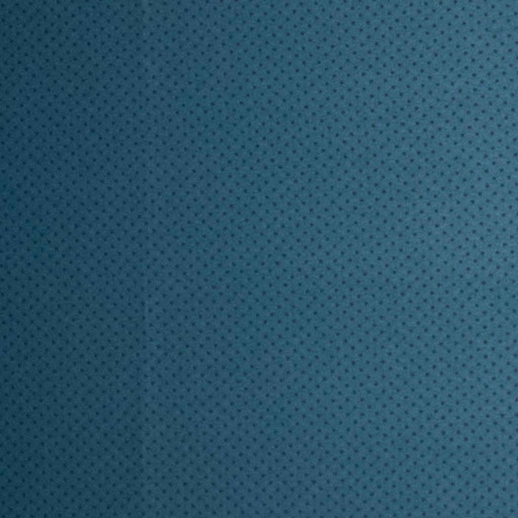 Pinpoint – Blueberry