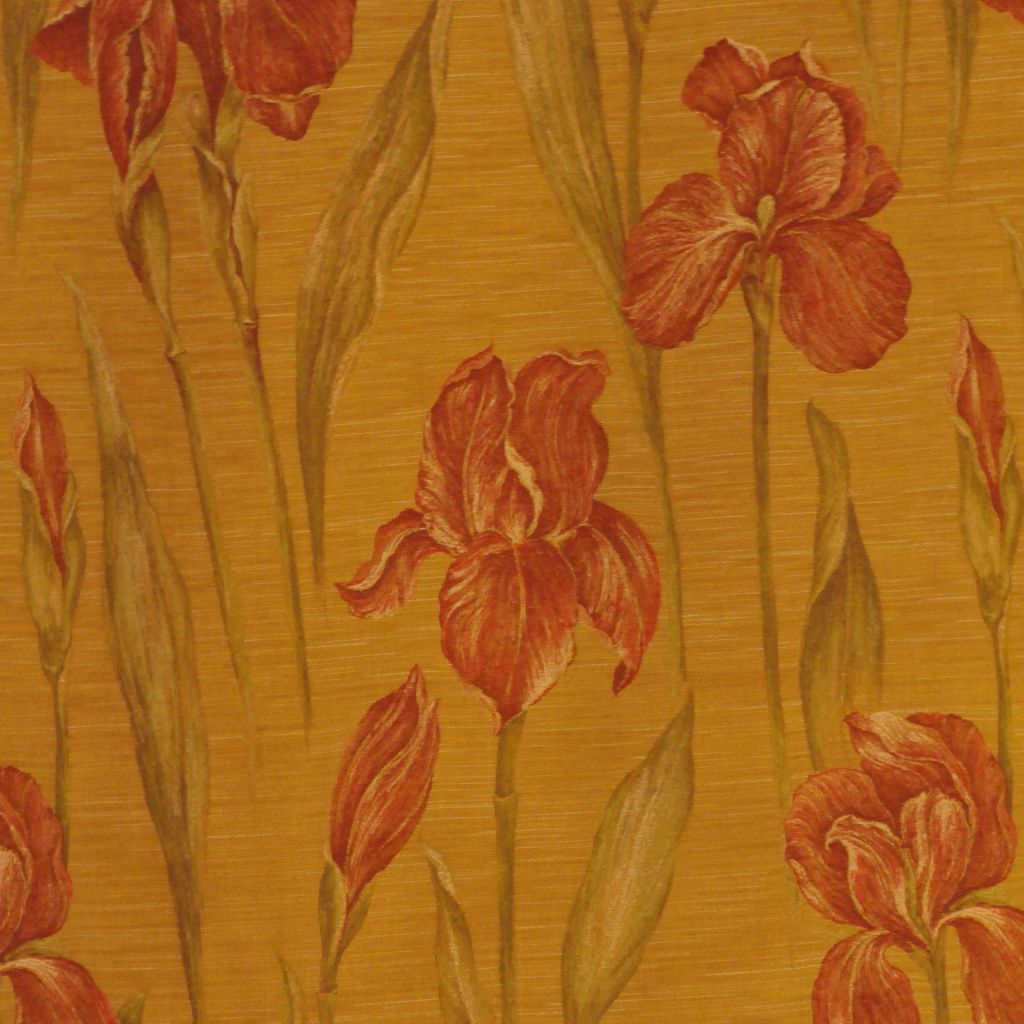 5SR – MUSTARD