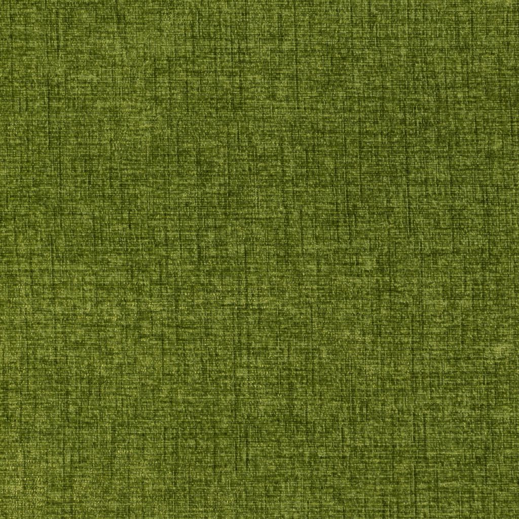 Westover – Kiwi