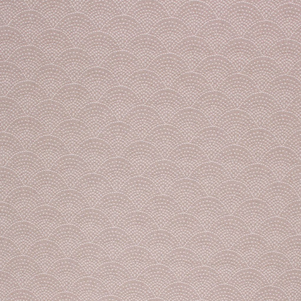 BRISBANE – TWEED