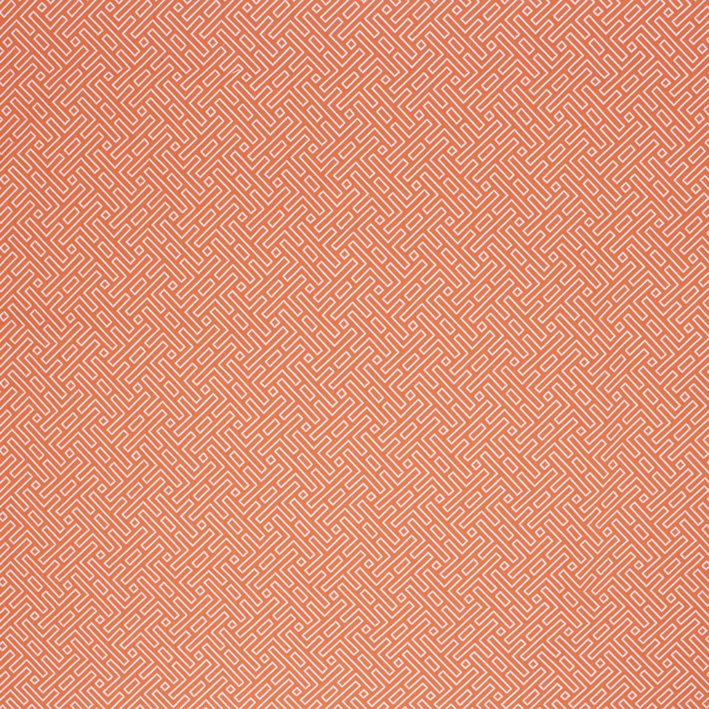 AMAZED – ORANGE