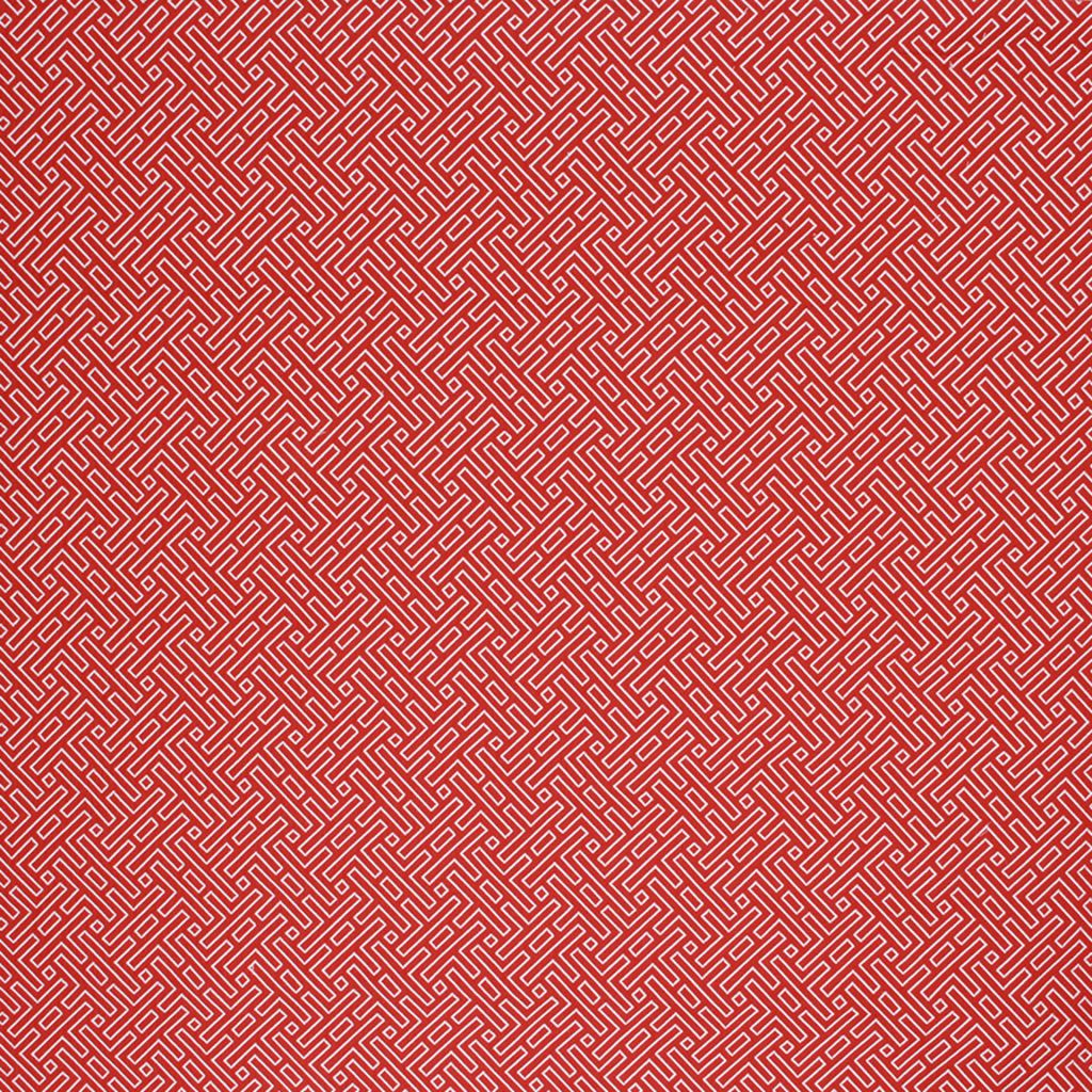 AMAZED – RED