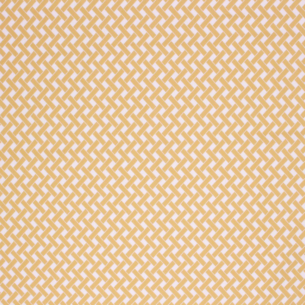 OVERLAY – DAFFODIL