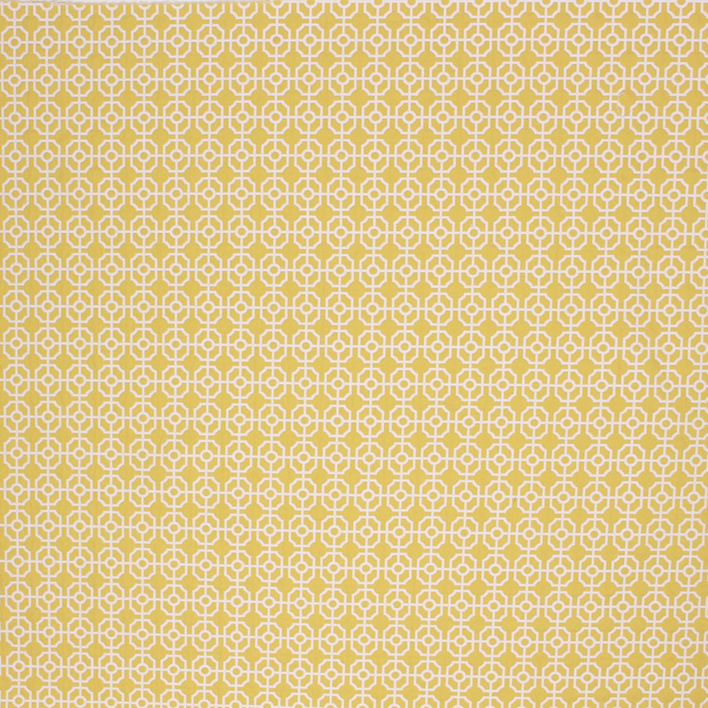 CHINON – ACID GREEN