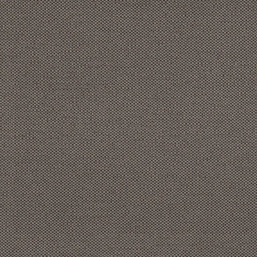 Piper – Chinchilla
