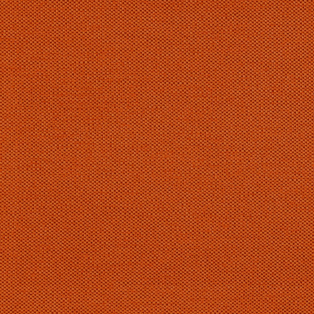 Piper – Ginger