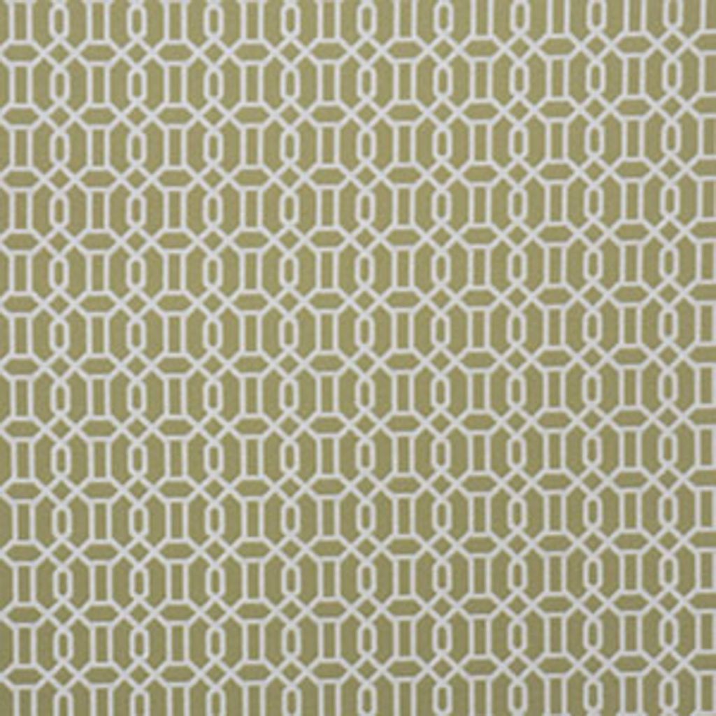 2317CB – KIWI