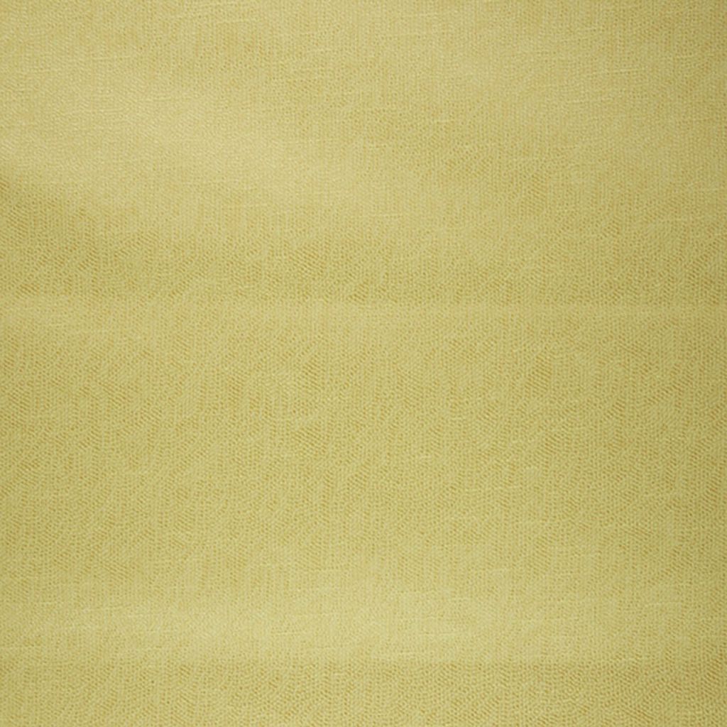 SPOKANE – Dandelion