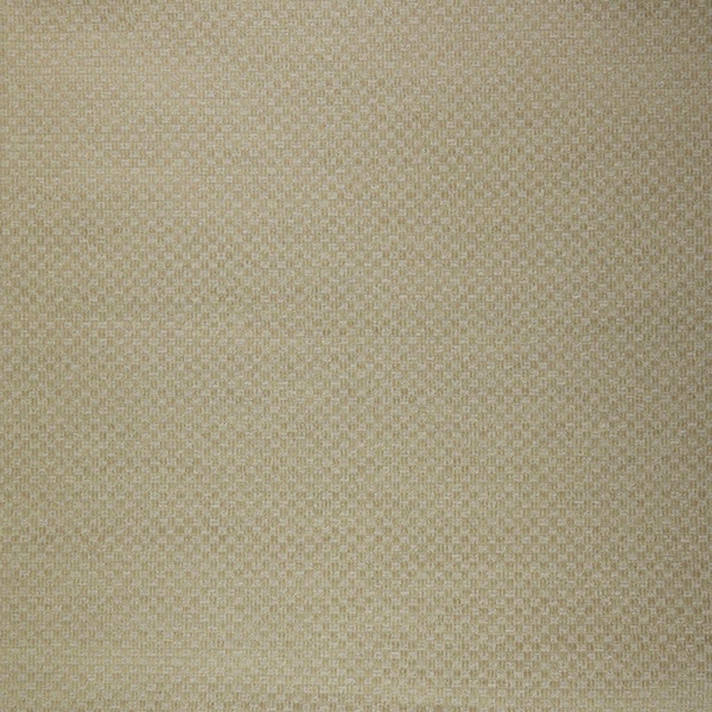 TACOMA – Latte