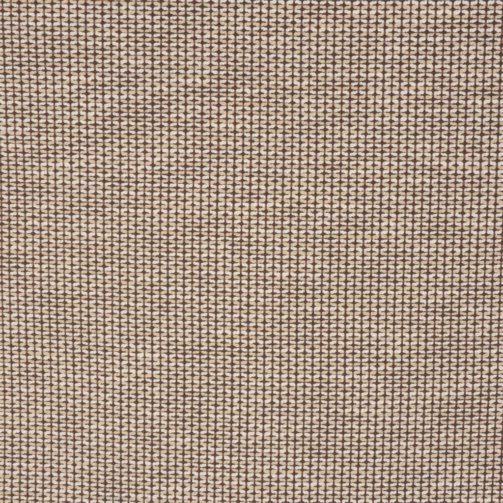 A0462 – TORTOISE SHELL