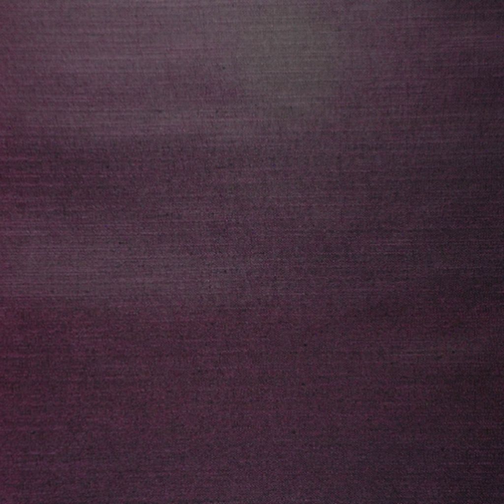 AMERISTAR – Eggplant