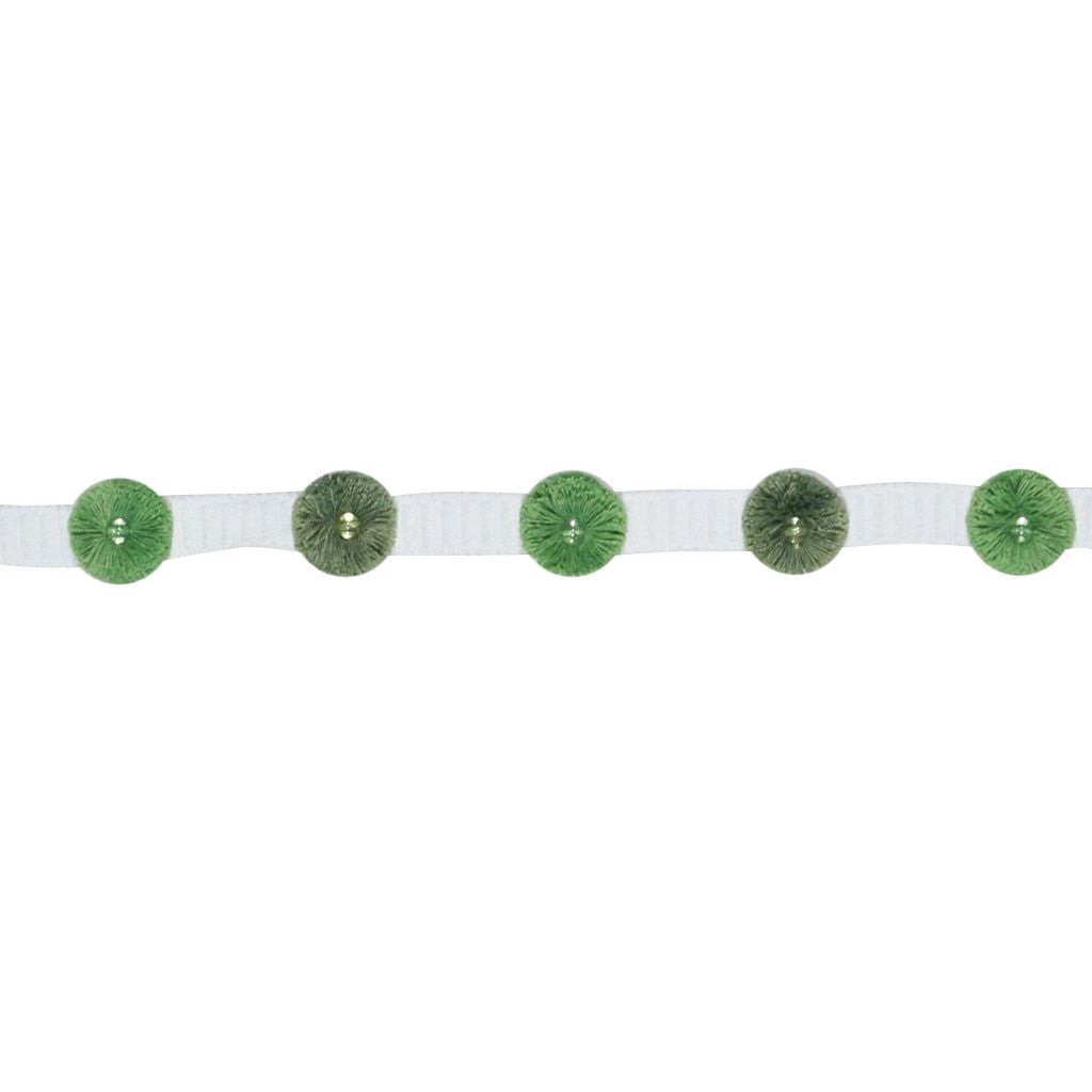 BD105 BORDER 1" â CITRUS